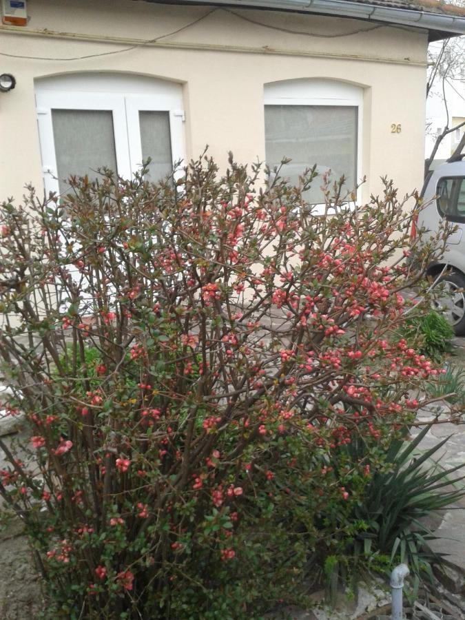 Casa Didina Fosta Pensiune Casa Didina Bacau Bagian luar foto
