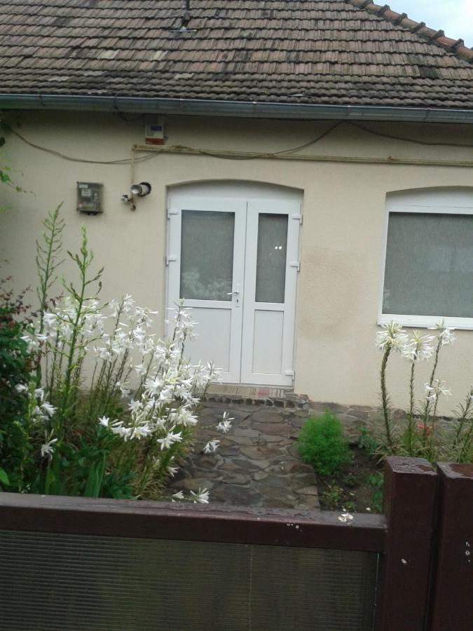 Casa Didina Fosta Pensiune Casa Didina Bacau Bagian luar foto