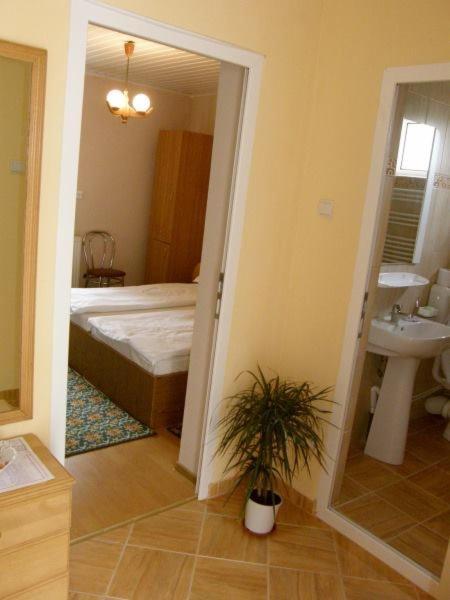 Casa Didina Fosta Pensiune Casa Didina Bacau Bagian luar foto