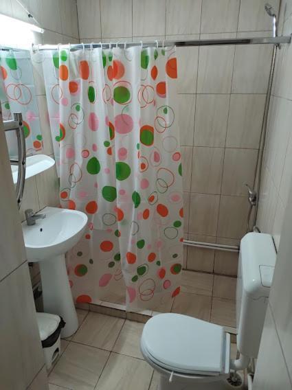 Casa Didina Fosta Pensiune Casa Didina Bacau Bagian luar foto