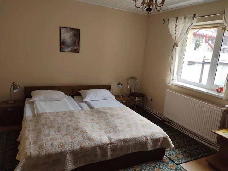 Casa Didina Fosta Pensiune Casa Didina Bacau Bagian luar foto